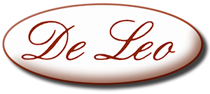 logo deleo